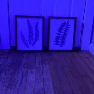 2 picture frames, with photos inside